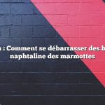 Question : Comment se débarrasser des boules de naphtaline des marmottes